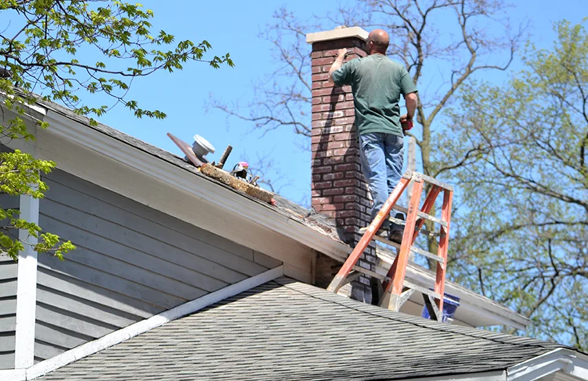 Chimney & Fireplace Inspections Services in Ewa Gentry, HI